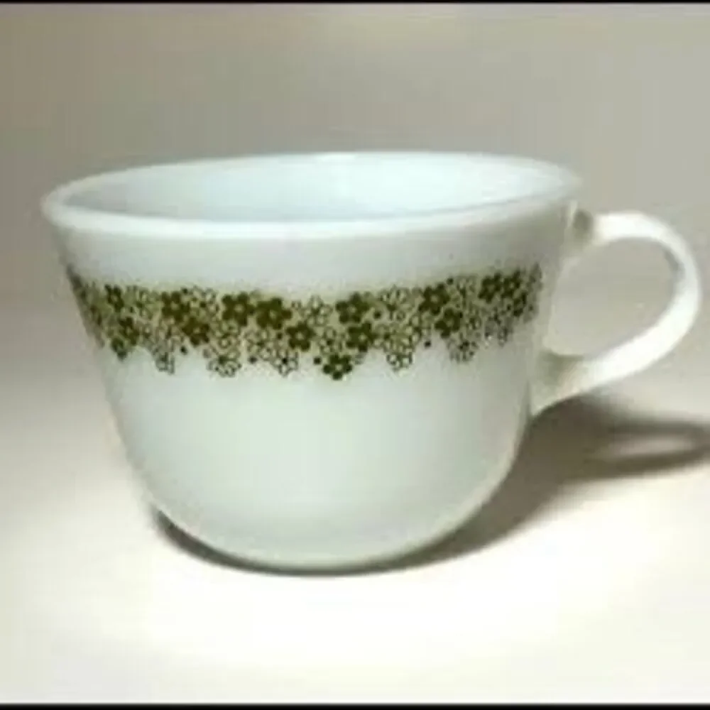 Pyrex set spring